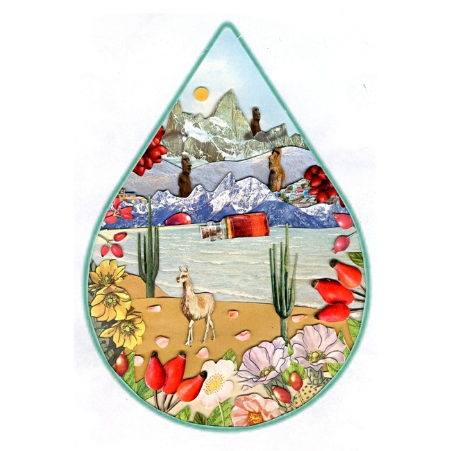 Rosehip Oil, 100% Organic-gallery-36891834089649