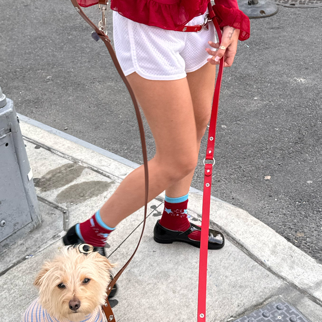 Hazel - Flower Power Leash-gallery-46378742055198