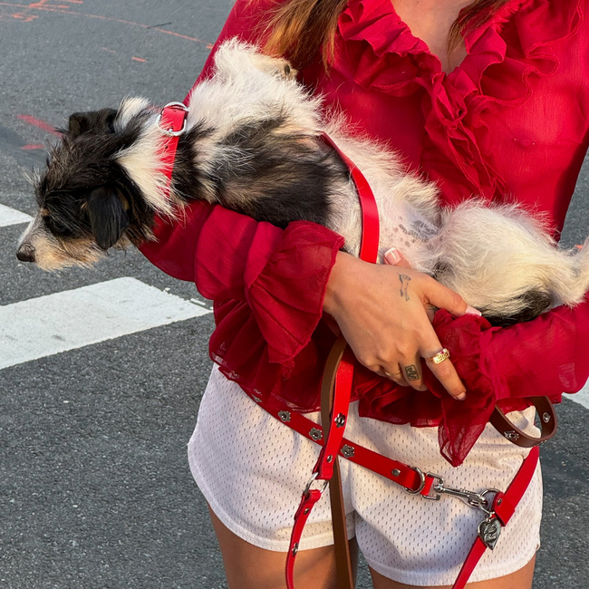 Ruby - Flower Power Leash-gallery-46378772660510