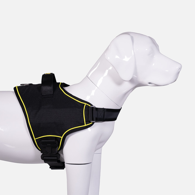 K9 Pro™ Dog Harness-gallery-35793319395467