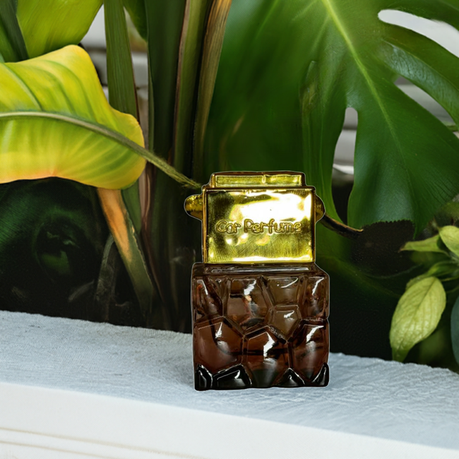 Icy Lemon & Vetiver Car Perfume-gallery-45496088265011