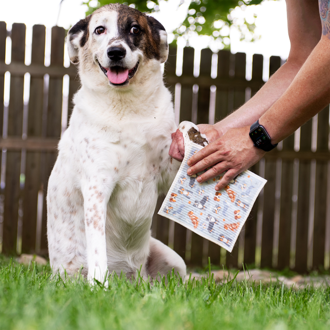 AMZ - Aussie Pupper Towel Father's Day 1x1.jpg