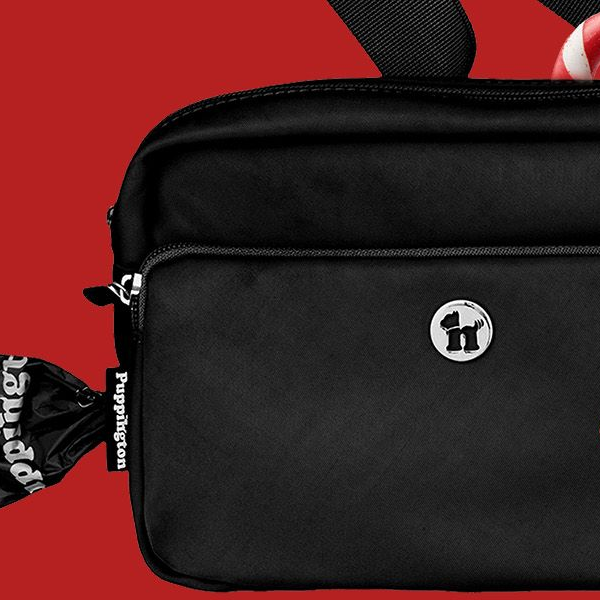 Puppington 3-in-1 Crossbody Bag and Dog Treat Pouch Selected in Oprah’s Favorite Things 2024