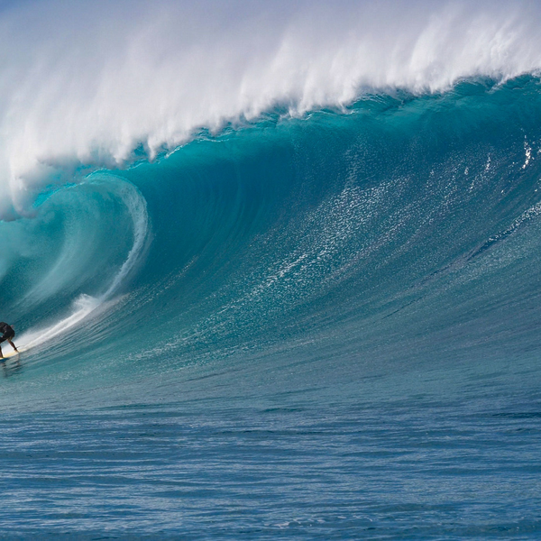 A New Earth Project (ANEP) Creates Sustainable Sports Packaging Model for Surfing Industry