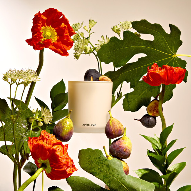 AP01-FO-Fig and Olive Leaf-TDAVIS_Apotheke615.jpg