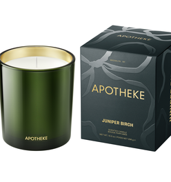 Juniper Birch Classic Candle