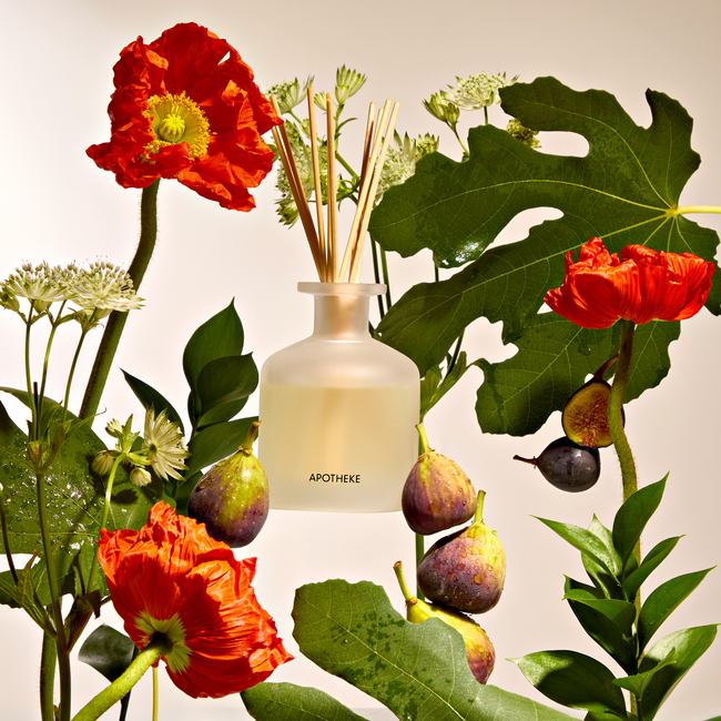 AP04-FO-Fig and Olive Leaf-TDAVIS_Apotheke618.jpg