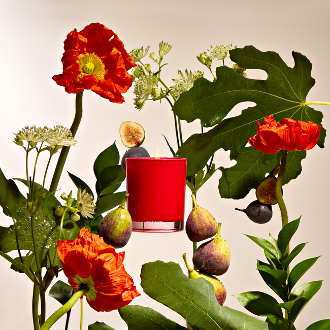 AP15-FO-Fig and Olive Leaf-TDAVIS_Apotheke617.jpg