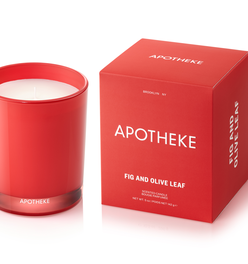 Fig and Olive Leaf Petite Candle