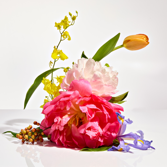 AP32-01-FL Floral TDAVIS_Apotheke690.jpg