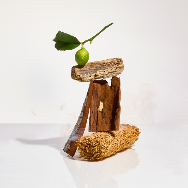 AP32-01-WO Woody TDAVIS_Apotheke724.jpg