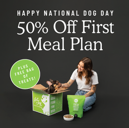 Get Joy Celebrates National Dog Day with 50% off + Free Treats