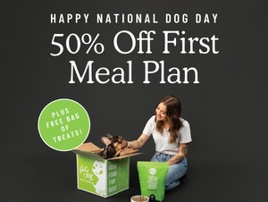 Get Joy Celebrates National Dog Day with 50% off + Free Treats