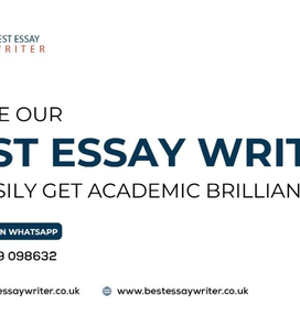 Best Essay Writer