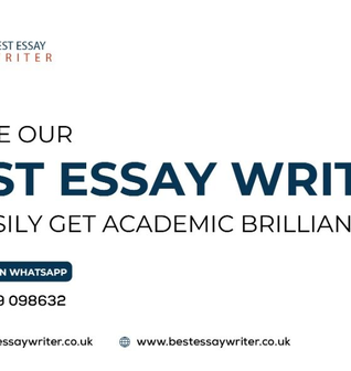 Best Essay Writer