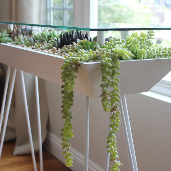 BloomingTables Offers The World's First Living Furniture Line