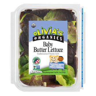 Baby Butter Lettuce