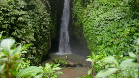 The BaliTrip