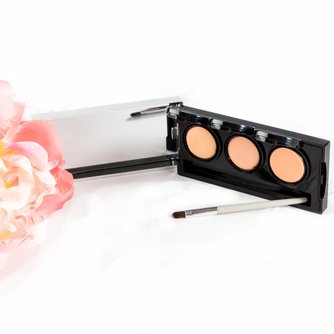 Pro Concealer Palette