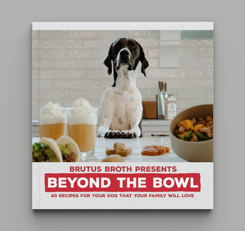 Beyond the Bowl Recipe Book