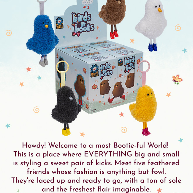 BirdsNBoots_newsletter.jpg
