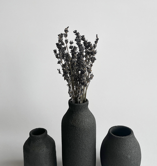 The Black Crater Vase Collection