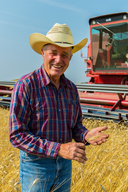 Bob Combine Grain.jpg