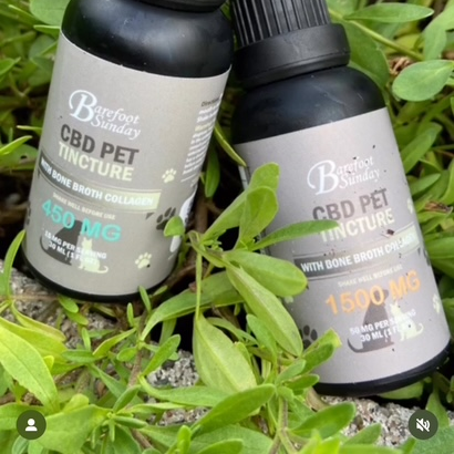 CBD pet tinctures.jpeg