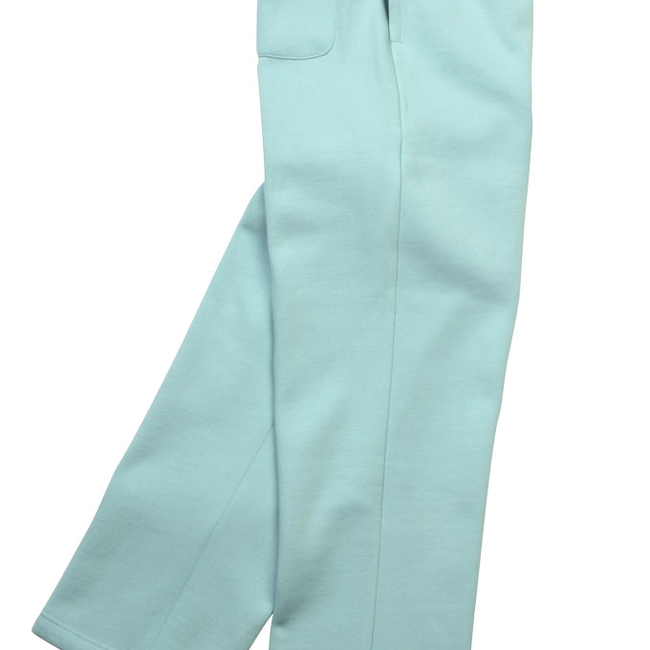 CPF1047_DGK_WildstylePant_Celadon_Right.jpg