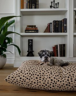 Apollo Dot Print Dog Bed