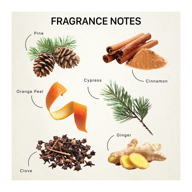 ChristmastideTraditional_ScentNotes_150dpi.png