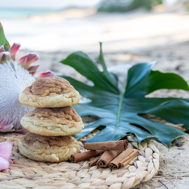 Cinnamon Roll Stacked Beach_Lg.jpg