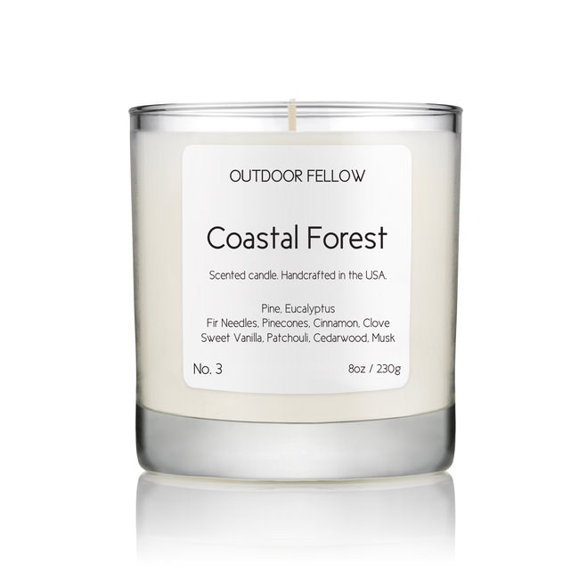 Coastal Forest.jpg