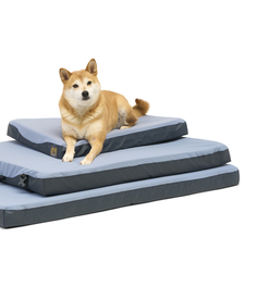 Dog Bed