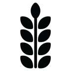 Copy of Stemly Logo (with Old) (Card (Square)) (1) (1).png