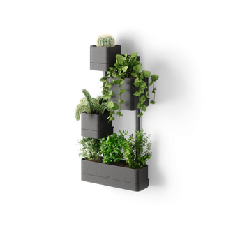 Cubiko Wall Planter