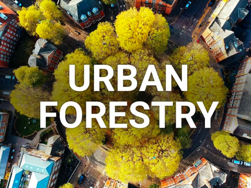 One Golden Thread Plants Seeds in the Ground Today for a Better Tomorrow