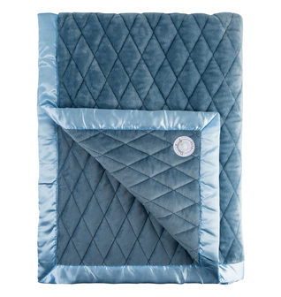 Weighted Toddler Blanket