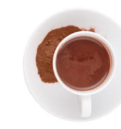 Delysia Chocolatier Pumpkin Spice Drinking Chocolate