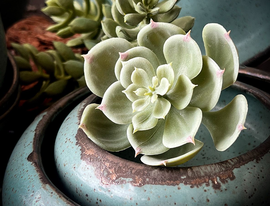 Mother’s Day Gift Ideas That Feel Thoughtful Without Overthinking It