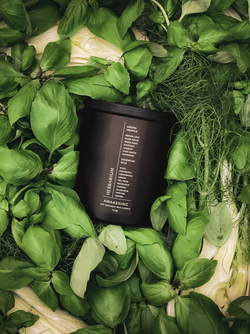 HERBARIUM CANDLE