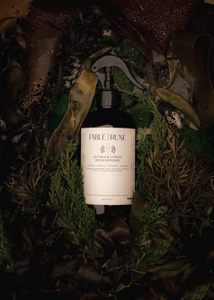 SEA PALM & CYPRESS ROOM REFRESHER