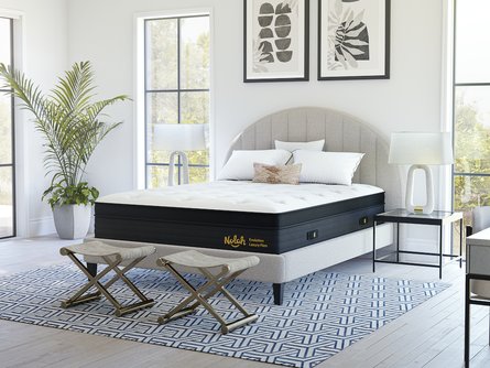 Nolah Evolution 15" Mattress