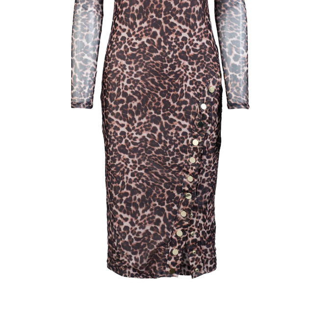 F25_MoniqueLeoMeshDress_Leopardess.webp
