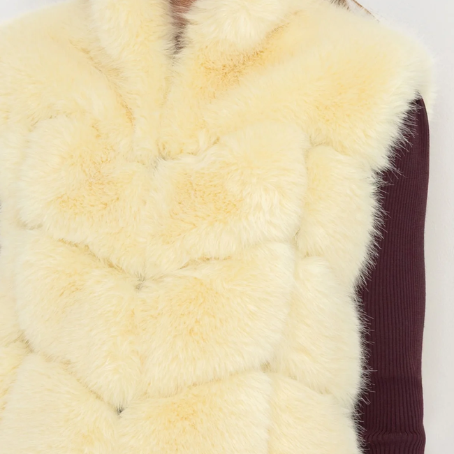 F25_RosarioFauxFurVest_Banana_AndolinaSquareNeckDress_Malbec6.webp
