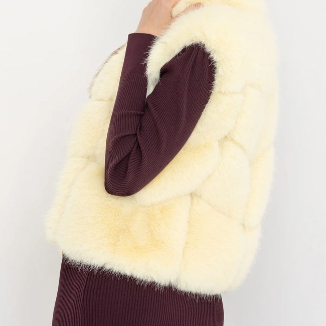 F25_RosarioFauxFurVest_Banana_AndolinaSquareNeckDress_Malbec9.webp