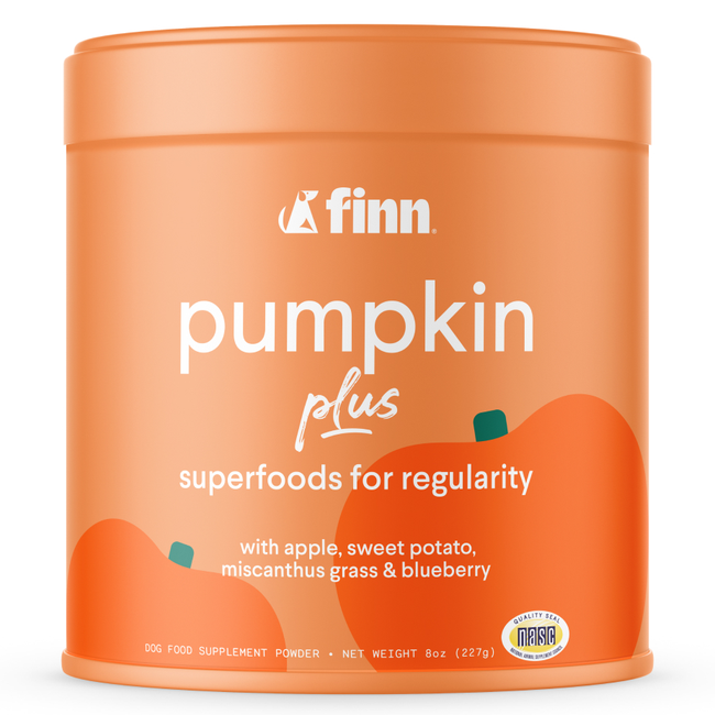 FINN-PUMPKIN-POWDER-RENDER.jpg