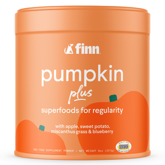 Pumpkin Plus