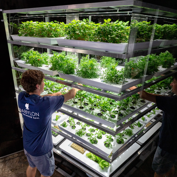 Babylon Micro-Farms Awarded Phase 2 SBIR Grant to Commercialize Distributed Vertical Farming Platform