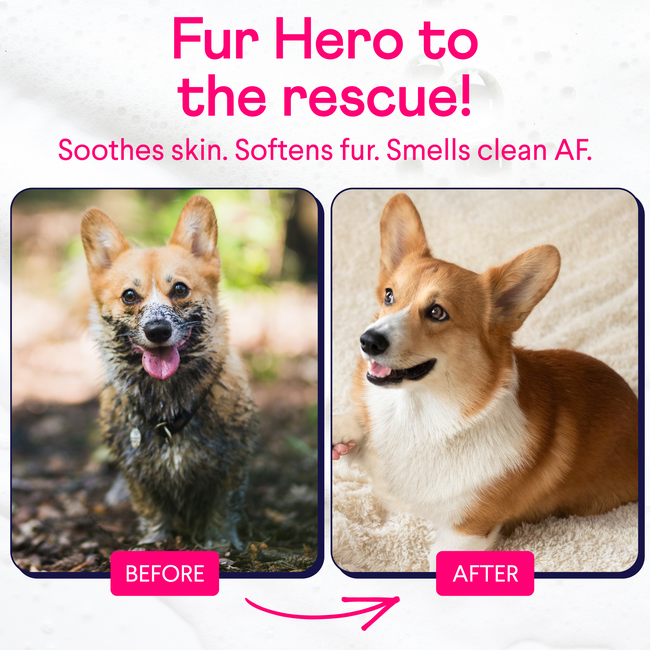 Finn_Fur_Hero_Listing_Image_Before_After_1.jpg